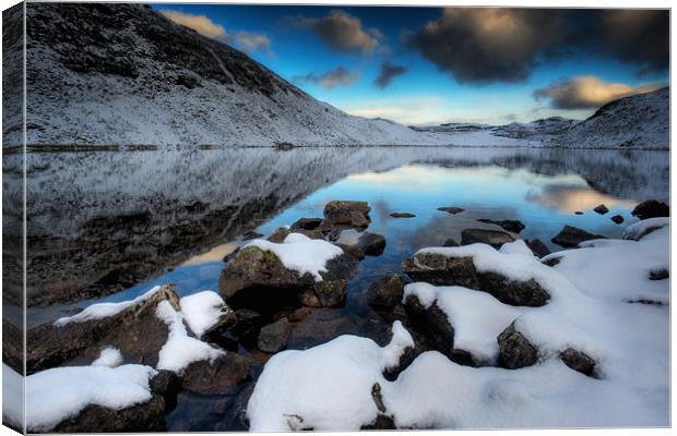 Llyn Manod shoreline Canvas Print by Rory Trappe