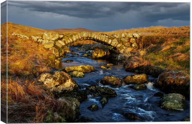  Migneint pack horse bridge Canvas Print by Rory Trappe