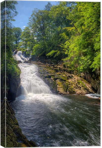 Swallow Falls  Canvas Print by Rory Trappe