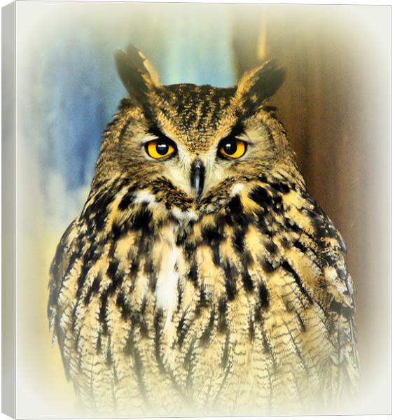 European Eagle Owl Canvas Print by Jacqui Kilcoyne