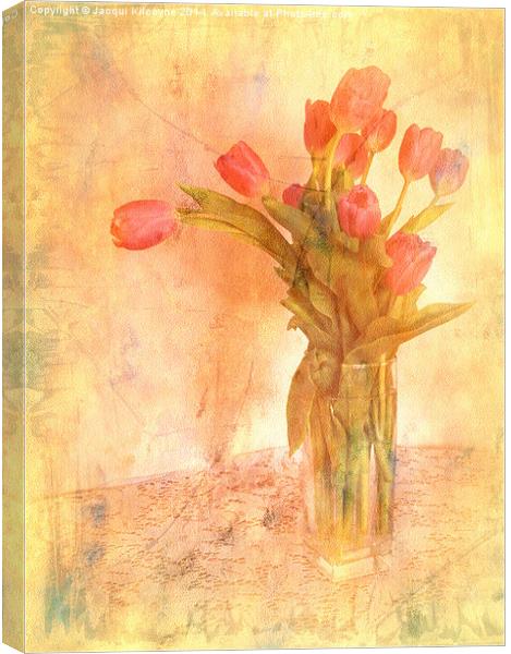 Tulip Time Canvas Print by Jacqui Kilcoyne