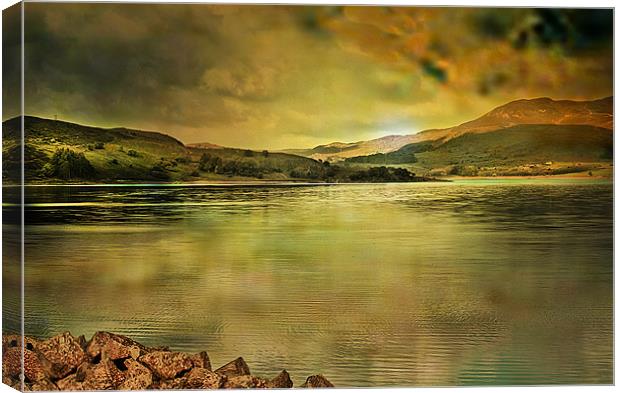 Snowdonia Wales UK Canvas Print by Irene Burdell
