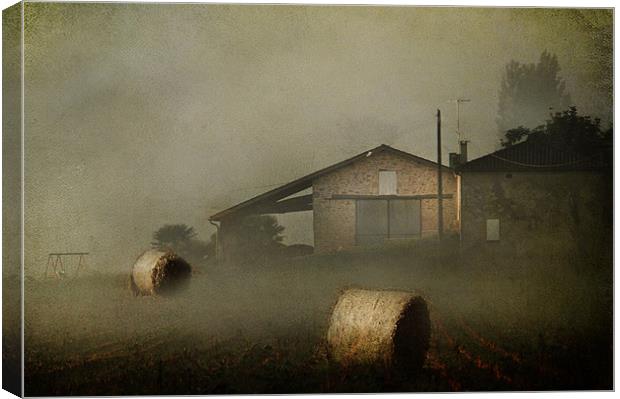 Morning Mist Canvas Print by Irene Burdell