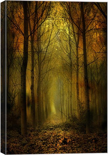 Cathedral of Trees Canvas Print by Irene Burdell
