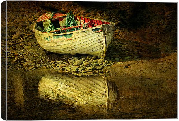 Abandoned ! Canvas Print by Irene Burdell