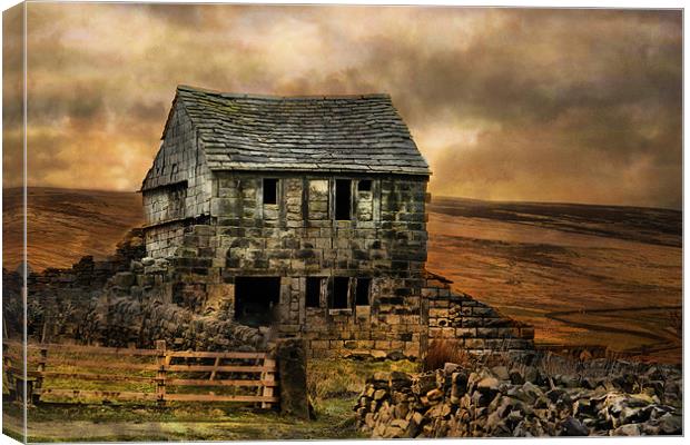 Derelict Cottage Canvas Print by Irene Burdell