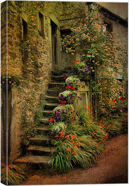 The Steps Canvas Print by Irene Burdell