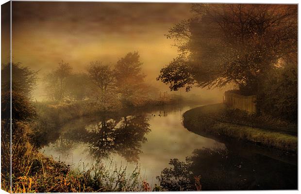 Out of the mist Canvas Print by Irene Burdell