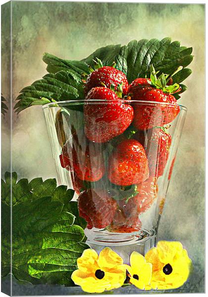 Strawberries anyone ? Canvas Print by Irene Burdell