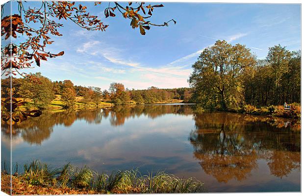 Browsholme in Autumn Canvas Print by Irene Burdell