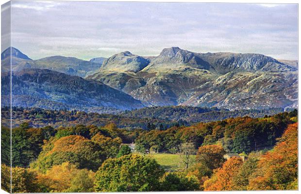 Lake District Canvas Print by Irene Burdell