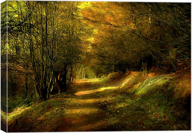  The Coppice  Canvas Print by Irene Burdell