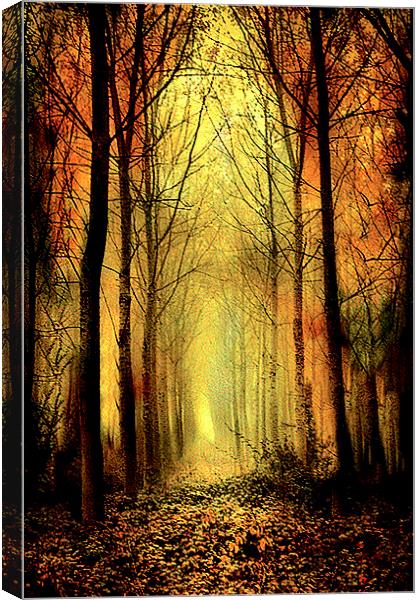  Arch of Trees Canvas Print by Irene Burdell
