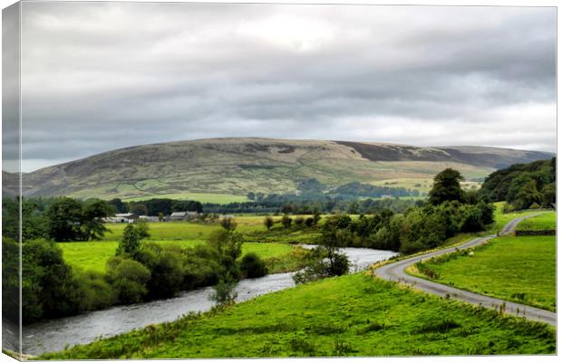 The Dales Canvas Print by Irene Burdell