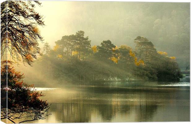 Morning Mist  on the lake . Canvas Print by Irene Burdell