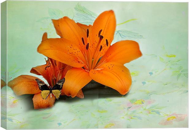 Lilies and butterfly . Canvas Print by Irene Burdell