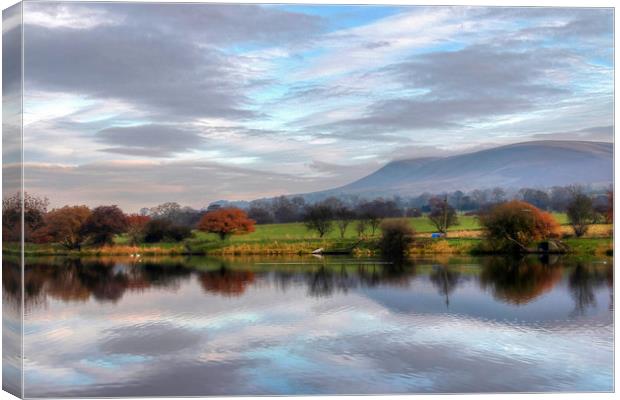 The Lake  Canvas Print by Irene Burdell