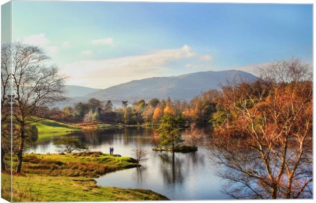 Tarn Howes Canvas Print by Irene Burdell