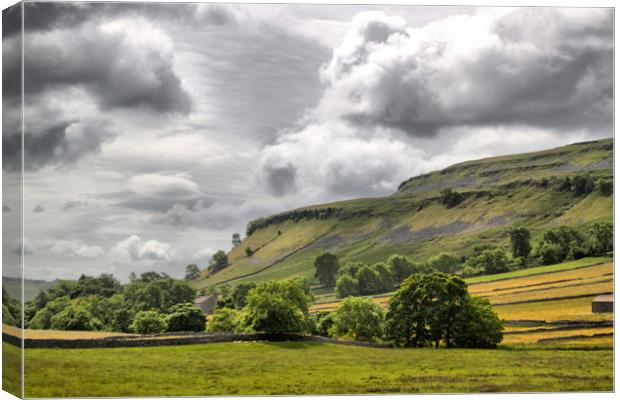 The Dales. Canvas Print by Irene Burdell