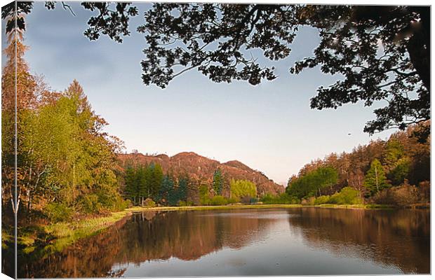 Autumn in the Lakes  Canvas Print by Irene Burdell