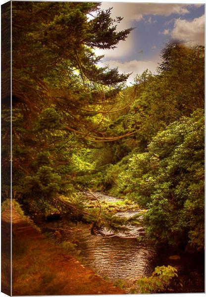 The Trough of Bowland  Canvas Print by Irene Burdell