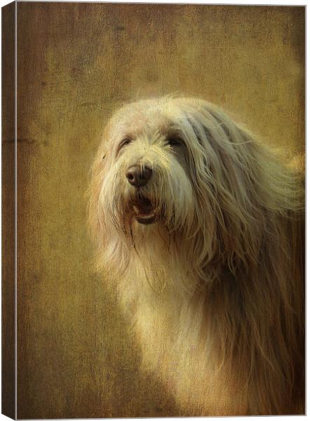 Buster! Canvas Print by Irene Burdell