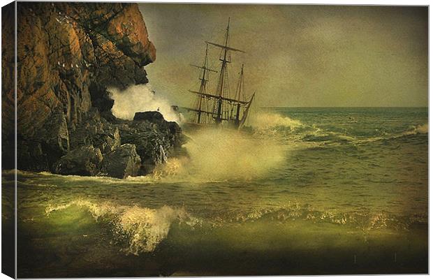 Ship Wrecked !! Canvas Print by Irene Burdell
