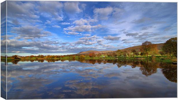 Pendle Hill Canvas Print by Irene Burdell