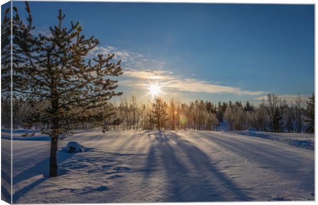 Snowy landscape in Karesuvanto Finland  160 miles  Canvas Print by Richie Miles