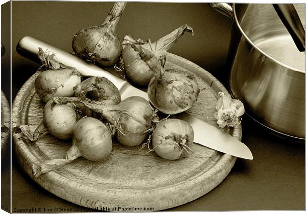 Onions Home Grown Canvas Print by Tim O'Brien