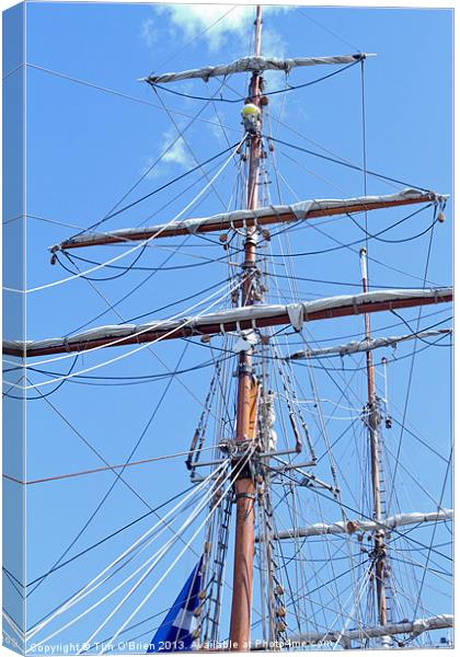 Rigging of Tall Ship Canvas Print by Tim O'Brien