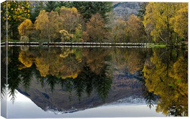 Glencoe Loch Mountain and Trees Canvas Print by Tim O'Brien