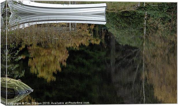 Reflections of Boat and Trees Canvas Print by Tim O'Brien