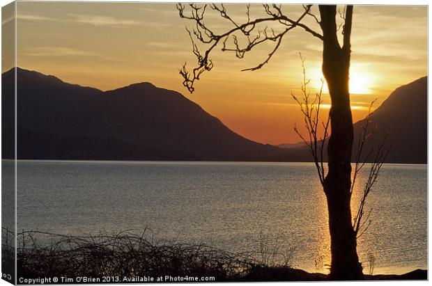Sunset Over Loch Linnhe Canvas Print by Tim O'Brien