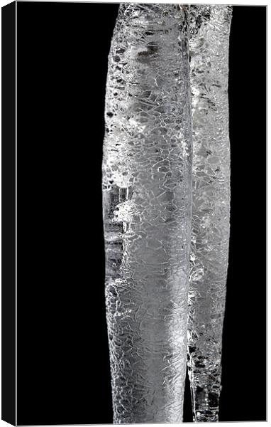Icicle Canvas Print by Tim O'Brien