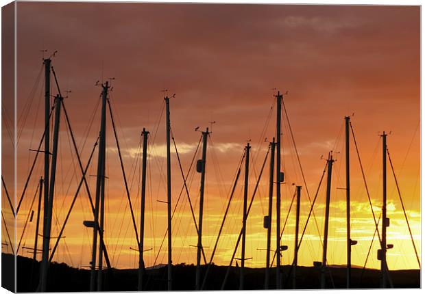 Sunset Silhouetting Masts of Yachts Canvas Print by Tim O'Brien