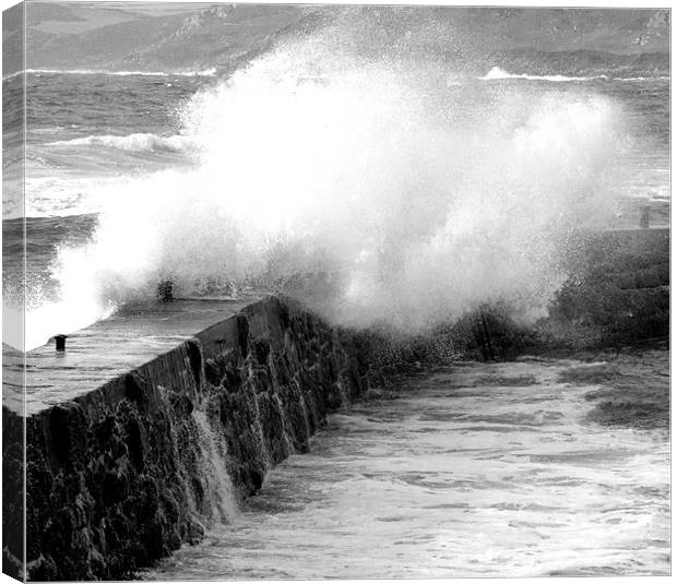 Sea Breaking Over Harbour Wall Canvas Print by Tim O'Brien