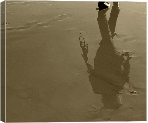 Shadow on Sand Canvas Print by Tim O'Brien