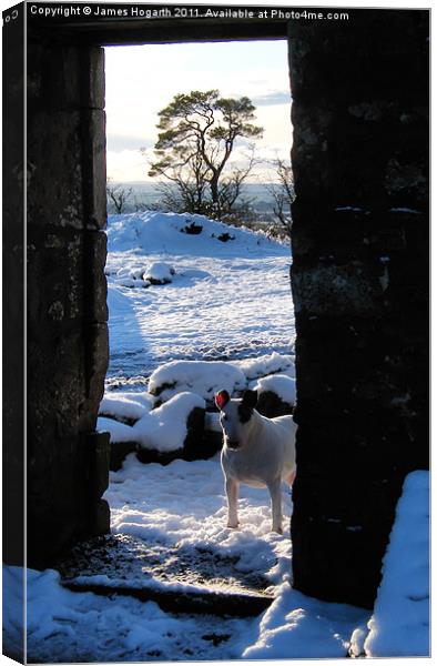 Bully at the Door Canvas Print by James Hogarth