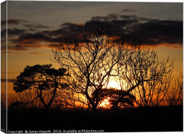 Sunset in Ayrshire Canvas Print by James Hogarth