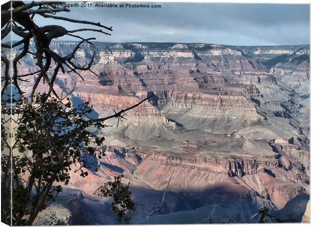 Grand Canyon Layers Canvas Print by James Hogarth