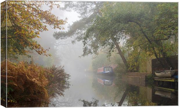  Autumn on the Basingstoke Canal Canvas Print by Steve Liptrot