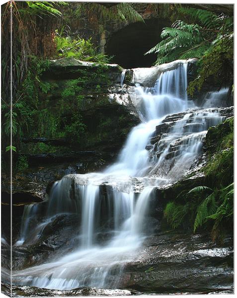 Blue Mountains Waterfall. Australia Canvas Print by David McLean