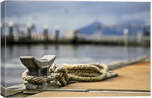 Cairns Marina, Australia Canvas Print by David McLean