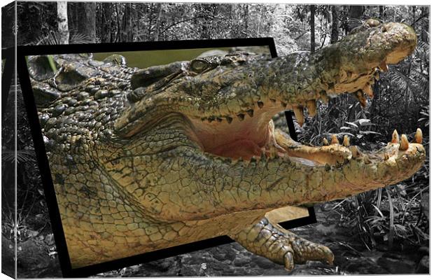 Crocodile Escape Canvas Print by David McLean