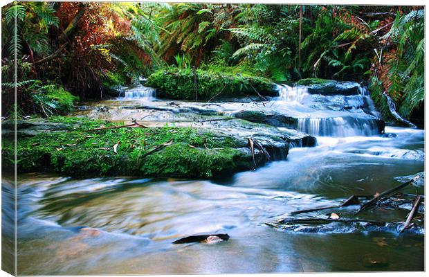Moutain Stream Canvas Print by David McLean