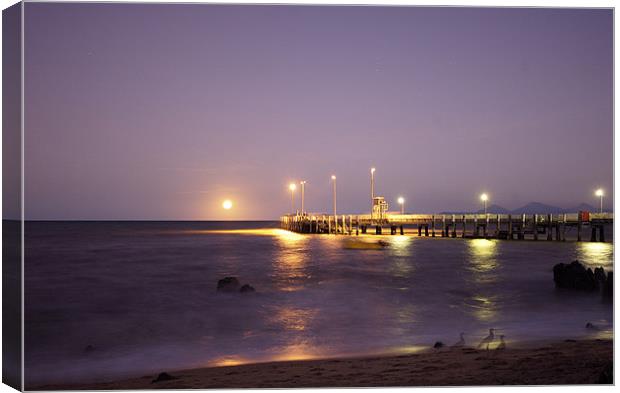 Palm Cove Jetty Canvas Print by David McLean