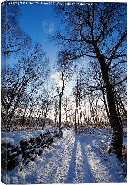 Woodland Path in Winter Canvas Print by Helen McAteer