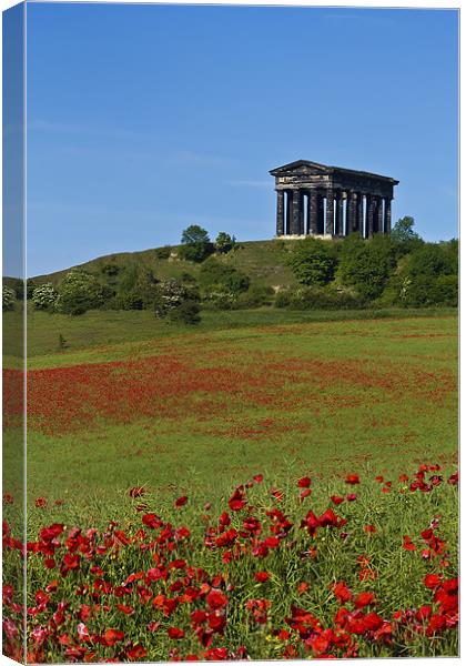 Penshaw Monument Poppies Canvas Print by Kevin Tate