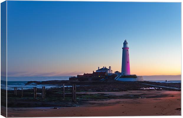 St Marys Lighthouse in Pink Canvas Print by Kevin Tate
